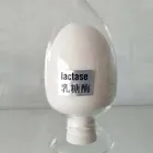 High Quality Acid Lactase, 100,000ALU/g, Food Grade lactase, factory sale
