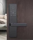 Zinc Alloy Biometric semiconductor fingerprint smart door lock