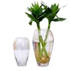 /product-detail/modern-wonderful-clear-handmade-high-quality-glass-vase-for-decoration-1560926500.html