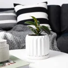 Ceramic Plant Flower Pots Planters - 4.4 Inch Medium Midcentury Planter with Drain Hole, Saucer Deco Indoor - Pure White