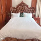 Nantong Deeda high quality hotel bedding sets cotton 300TC hotel jacquard design duvet cover set