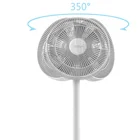 Fan Fan Price Air Circulation Fan