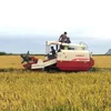/product-detail/new-conditions-hydraulic-gearbox-powerful-98hp-4lz-5-0e-kubota-rice-harvester-price-60569096337.html