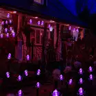 GIGALUMI 40 Purple Spider Battery Operated Halloween String Lights
