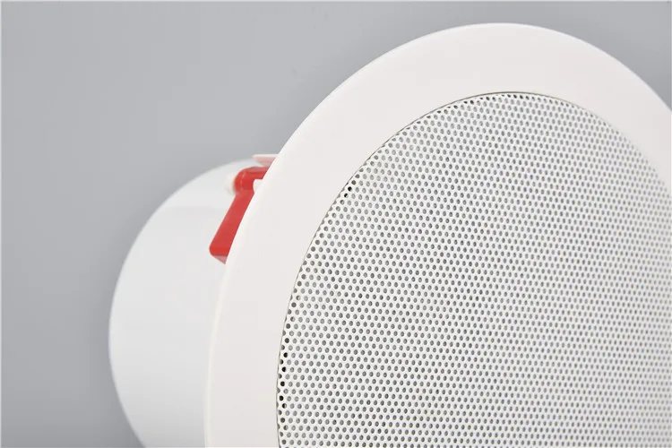 ARVOX A-S06TH Popular 10 Inch Inwall & Steel Ceiling Speaker - ANKUX.COM