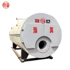 Sterilizer Boiler Yuji WNS Workshop Oil Gas Fired Sterilizer Steam Generator Boiler