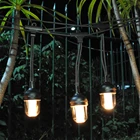 LED Fire Flame Outdoor Holiday String