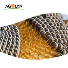 AGOLYN Big Size High Quality Sunflower Seeds