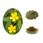 Damiana Extract Damiana Leaf Extract Sexual Enhancement Ingredients