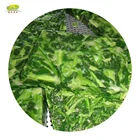 IQF Frozen Foods Green Spinach Cubes