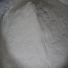 medical chitosan/pharmaceutical chitosan chitin