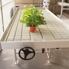 Iron Greenhouse Rolling Benches Seedbed for Garden Vegetable Plastic Seeding Tray