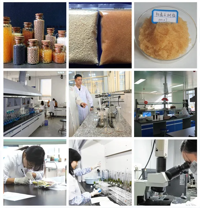 lab