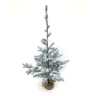 Decoration Christmas Decoration Supplier Hot Selling Good Quality Plastic Christmas Ornament Tree