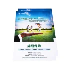 Custom Paper Poster Wall Art Posters Printing Services