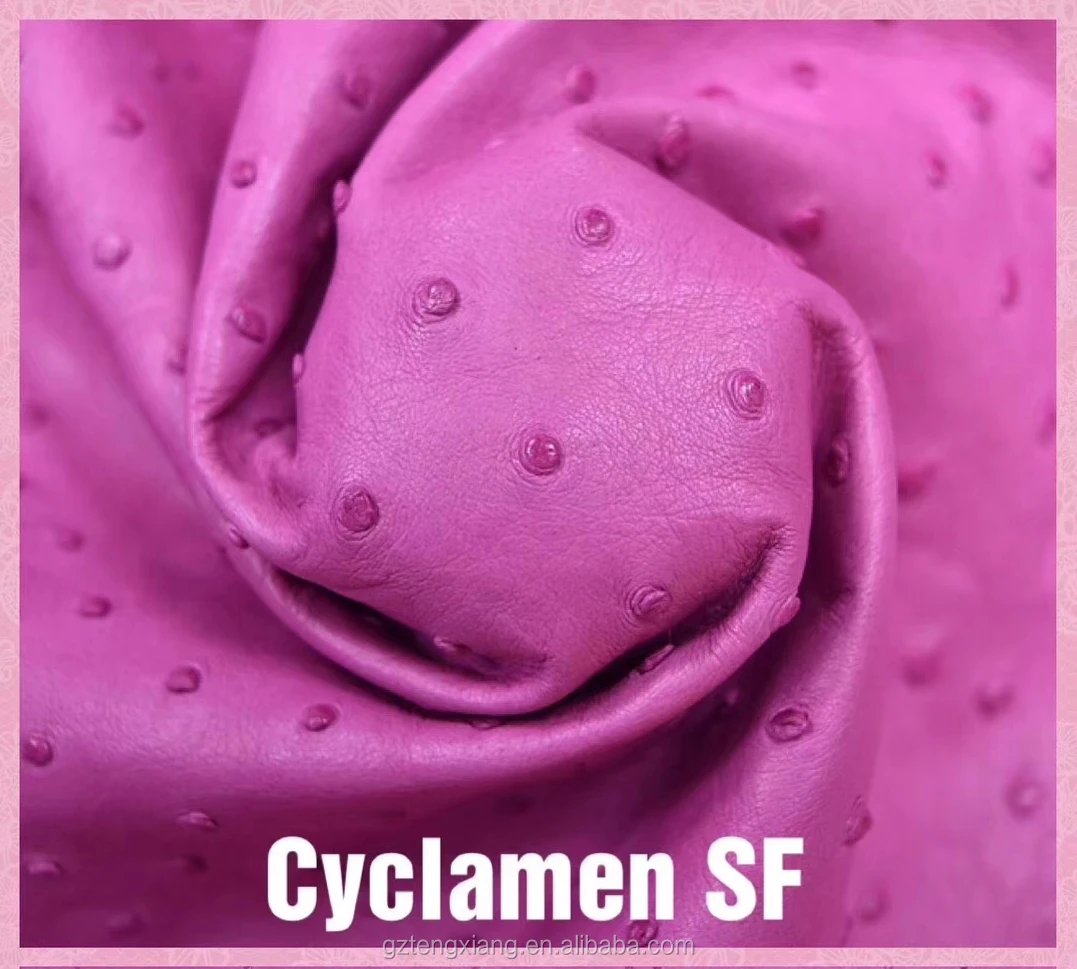 Cyclamen SF