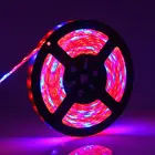 Led Red Strips Led Strip Light New Style DC12V 5050 Led Red Blue 3:1 4:1 5:1 Grow Strips Light