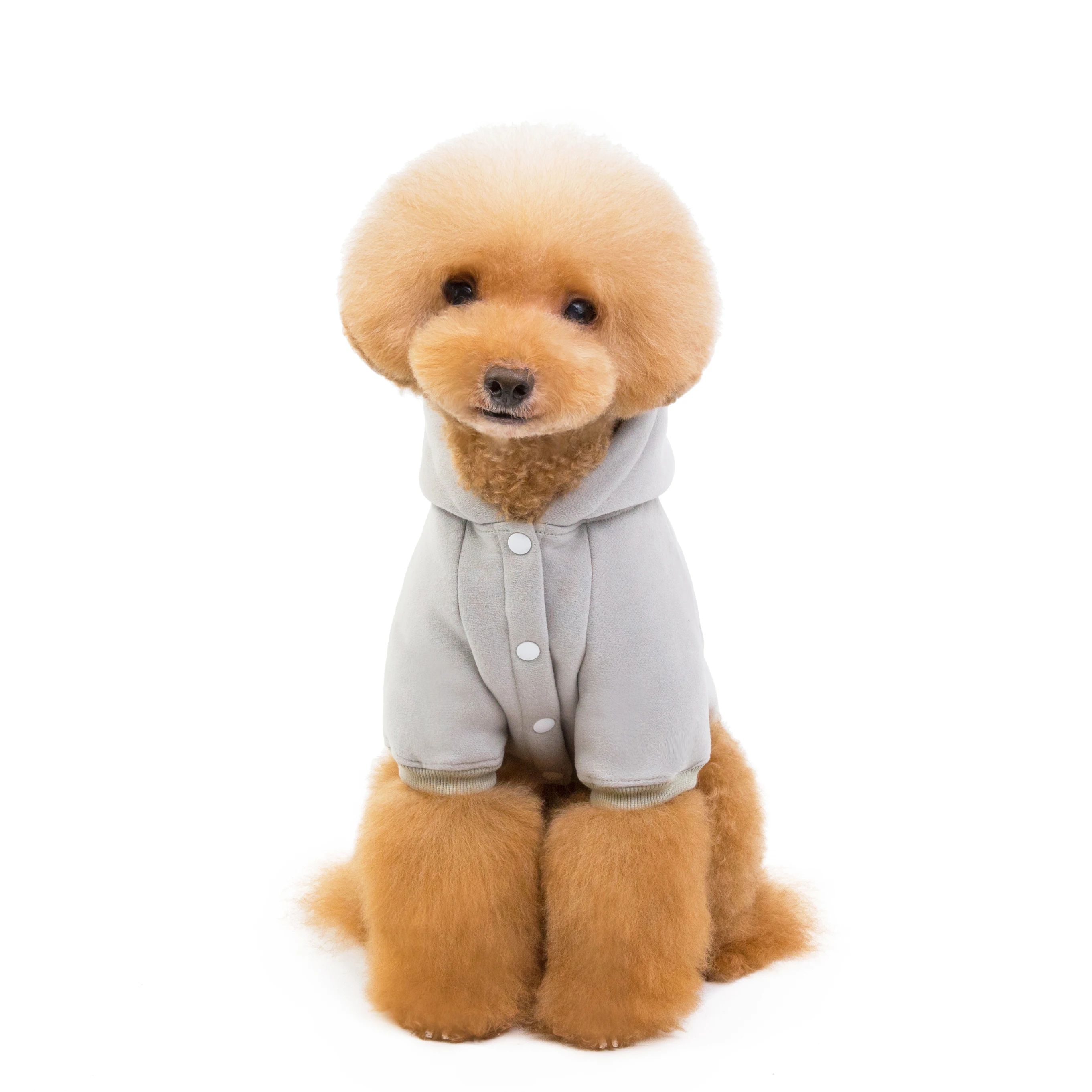 Winter New Pet Supplies Dog Sweater Fleece Cotton Pet Clothes Dog Hoodie Teddy Bulldog Solid Color Casual Dog Coats Wholesale