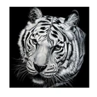Factory wholesale home effect wall decorative white tiger rhinestone diamond painting