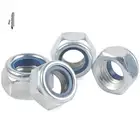 Lock Nuts Din985 Din982 Hex Nylon Insert Lock Nuts