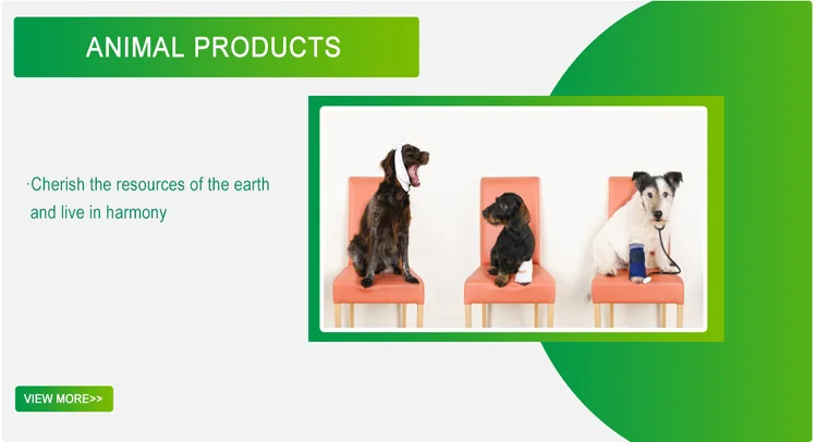 GSPMED High Quality cohesive elastic bandage Vet Wrap bandage self-adhesive Bandage Factory