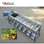 Tomato Grading Avocado Sorting Machine Avocado Sorting Machine/ Big Tomato Grading Machine/ Apple Sorter Machine