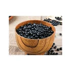 Bean Price Green Black Bean Price Is Good Black Bean Flour Price Is Good Black Bean Green