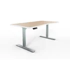 Jiecang JC35TS-RS3 office sit stand lift desk electric height adjustable fast table
