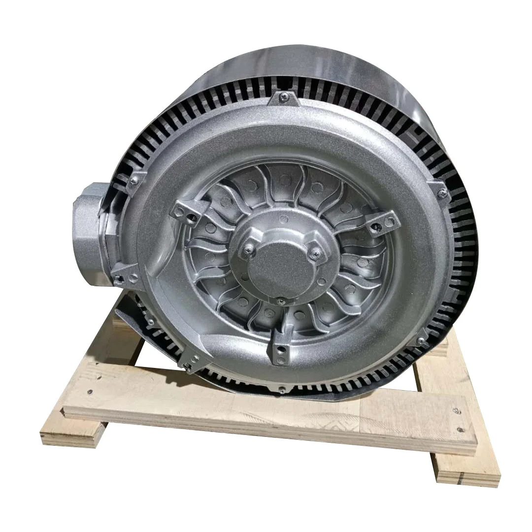 Ring Blower, 2LG420-7HA31, 2hp, 220V - detail 6