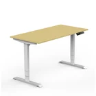 Ergonomic Stand Up Electric Height Adjustable Motor Sit Stand Desk/Table