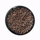You 2020 Hot Selling Masterbatch Factory Supplier Have The Different Of Color As You Want High Quality