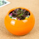 Set Of Decorative Round Multicolored Ceramic Succulent Plant Pot Porcelain Flower Pot Home Decor