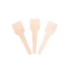 Top-rated Environmental protection Smooth polishing big ice cream sticks wood ice-cream stick ice cream scoop