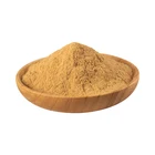 Hoodia Gordonii 2% Flavones Hoodia Gordonii Cactus Plant Extract Powder For Slimming Tea