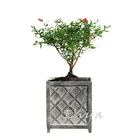 Zinc Finished Estate Metal Outdoor Planters