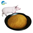 For Dog Cattle Horse Chicken Pig Fish Use And Corn Gluten Meal