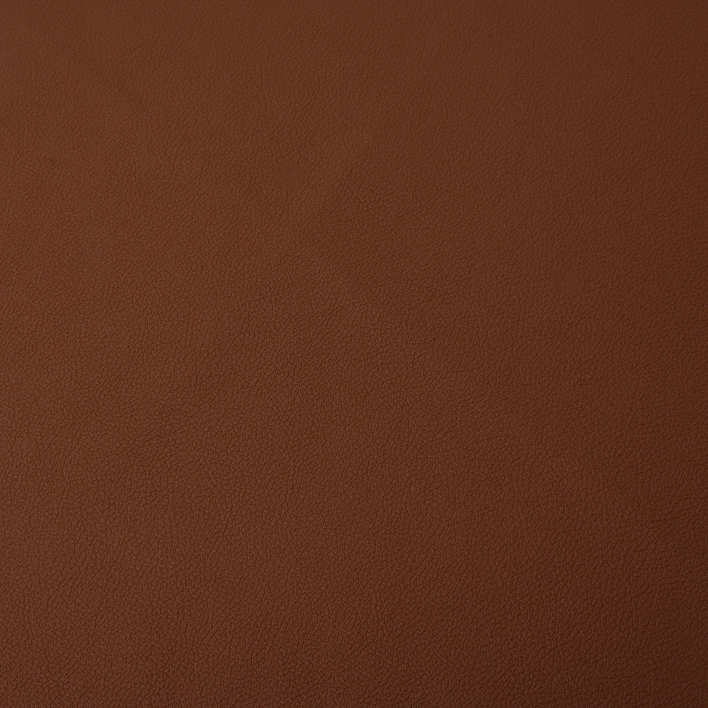 TXS14002 (7)