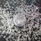 Star Glitter Suppliers 4 Angle Star Glitter Flake