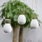 New Design Ceramic Hanging Wall Plant Pot For Outdoor Decor