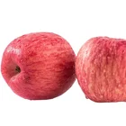 China Wholesale High Quality Royal Market Prices Fresh Fruit Luochuan Apple