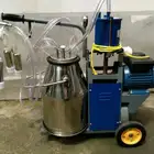 Milking Machine Dairy Milking Machine Hot Sale Cow Milking Machine Used For Small Dairy Plant
