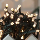 Festive Outdoor Led String Waterproof Decorative Grow Lights