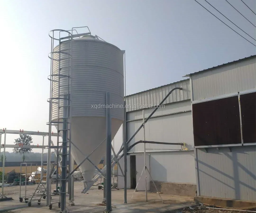 Automatic poultry pigeon dove feeder for chicken turbo feeder bucket chick manual bird