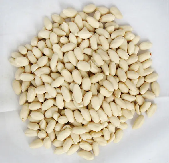 Peanut Type And Common Cultivation Type Groundnut Buy Groundnut