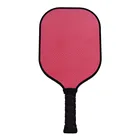 1 PCS sample custom Logo printing pickleball ball USAPA aprove