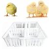 /product-detail/baby-chick-transport-box-4-grill-plastic-chick-turnover-box-transportation-crate-62361151932.html