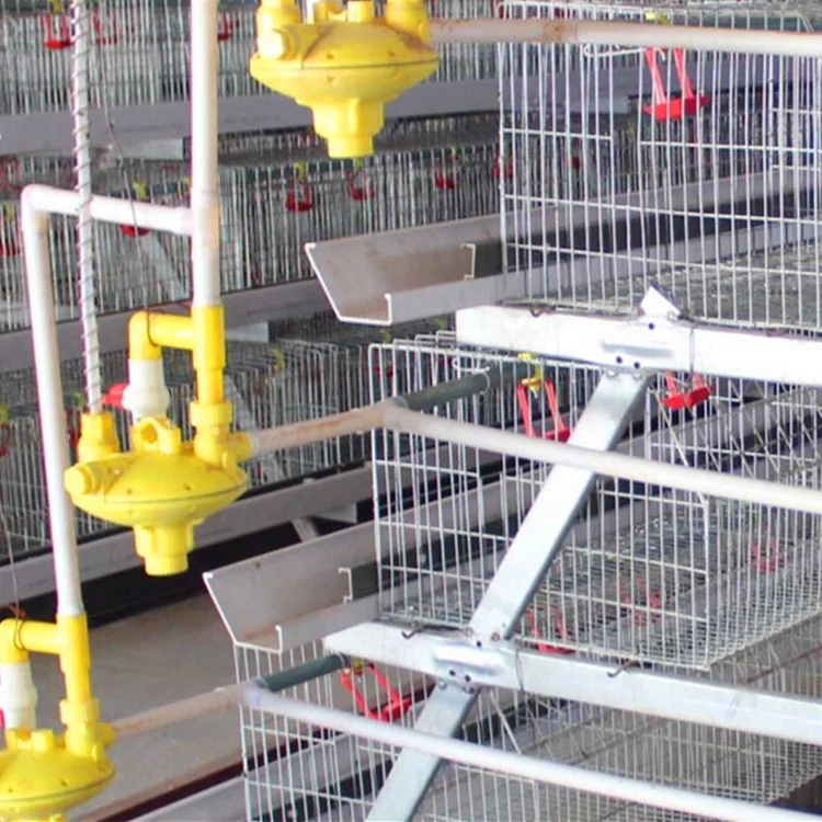 Automatic Pullet Baby Chicken Battery Brooder Cage For Day Old Layer