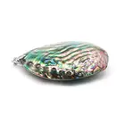 Abalone Pendant Green Abalone Shell Pendant Jewelry Decoration Classic Fashion Green Shell Pendant For Unisex