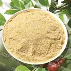 Wholesale Small packaged Tea seed extract Natural plant extract tea saponin
