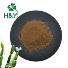 Powder Powder Cissus Extract High Quality Cissus Extract Cissus Extract Powder Cissus Quadrangularis P.e